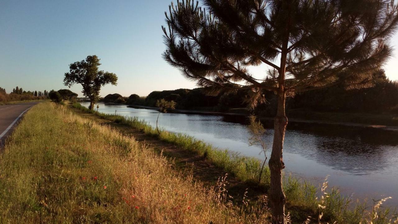 Mare Pineta Διαμέρισμα Lido di Volano Εξωτερικό φωτογραφία
